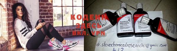 крисы Няндома