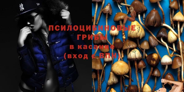 бутират Арсеньев